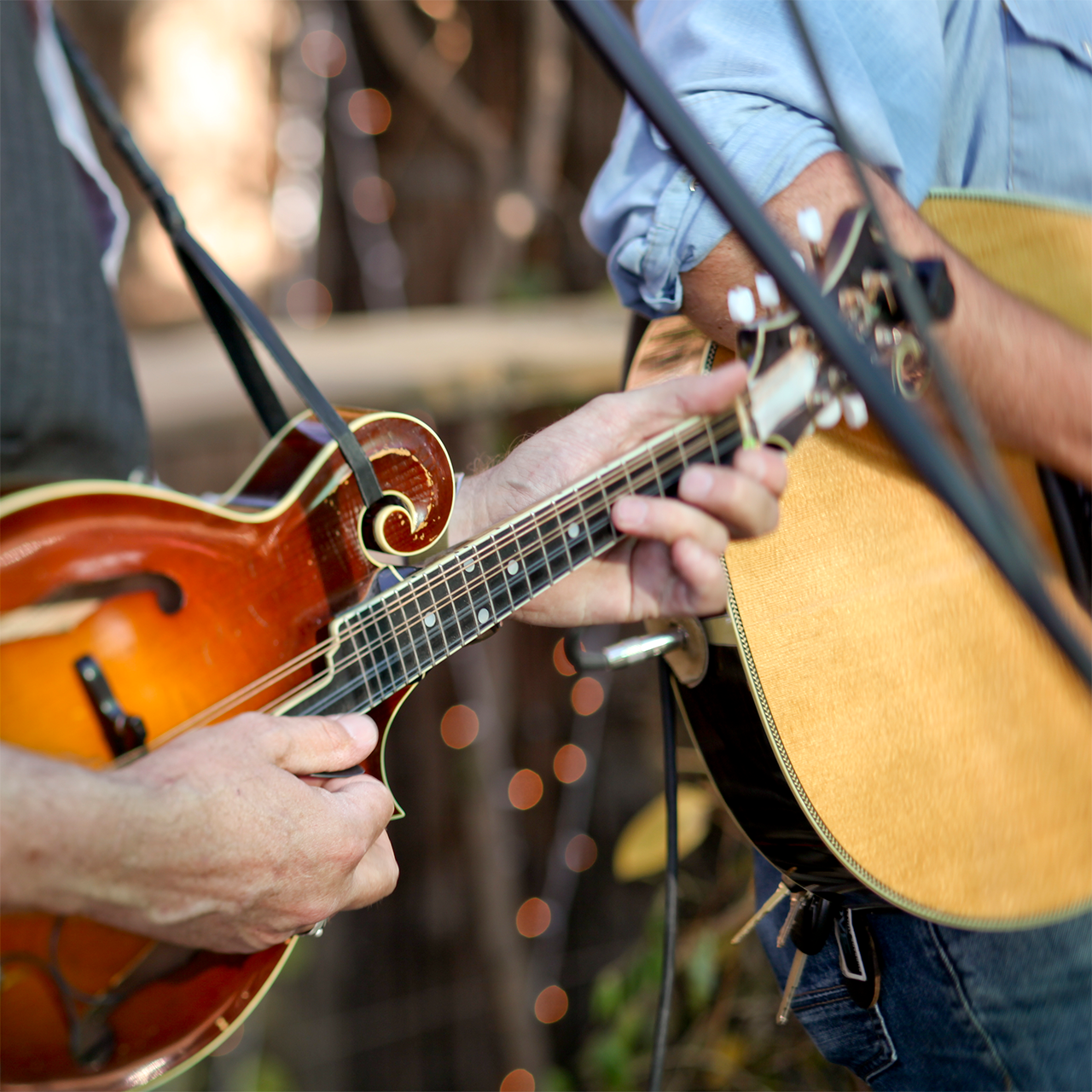 Pappy and Harriet's atmosphere
