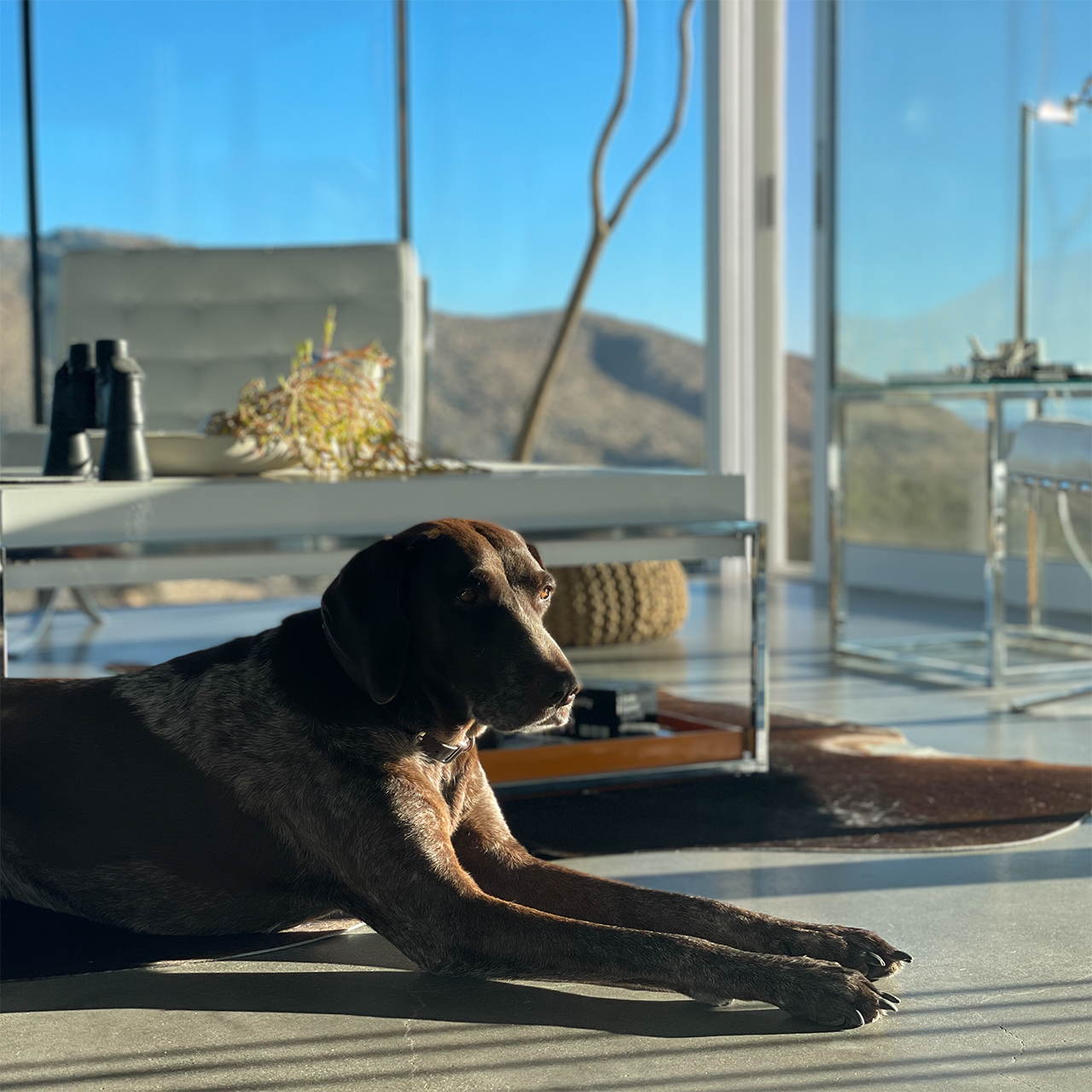 Lounge area inside the off-grid home