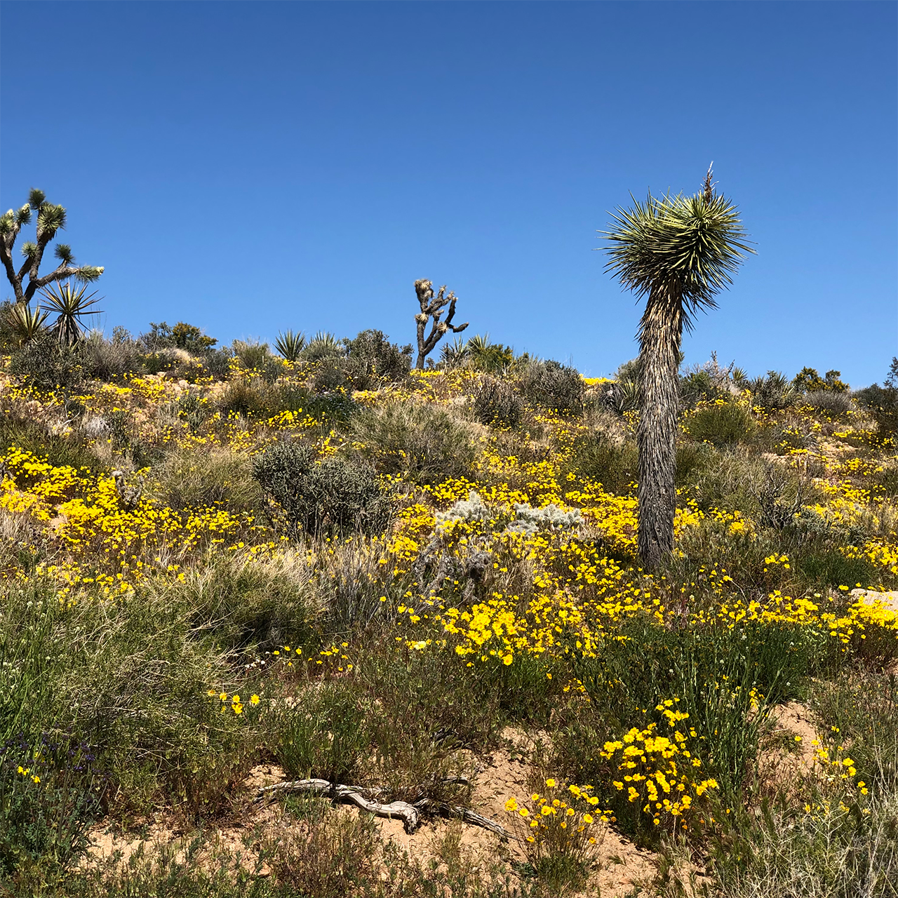 Rock formations and open sky