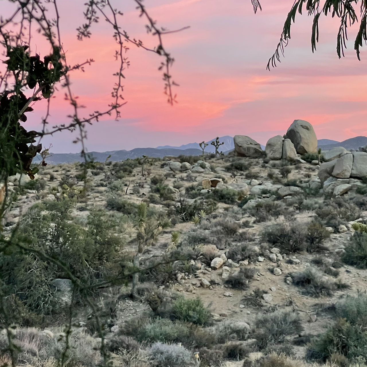 Wide horizon at sunset